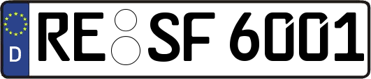 RE-SF6001