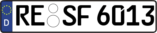 RE-SF6013