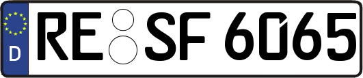 RE-SF6065