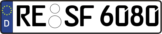 RE-SF6080