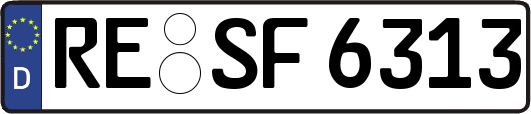 RE-SF6313