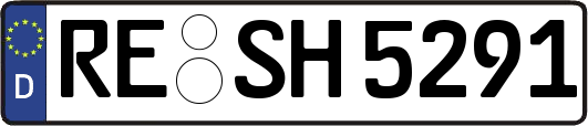 RE-SH5291