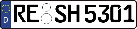 RE-SH5301
