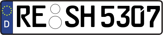 RE-SH5307