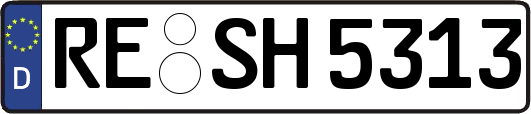 RE-SH5313