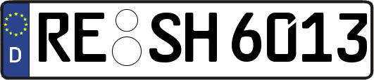 RE-SH6013