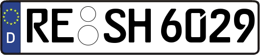 RE-SH6029