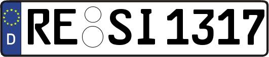 RE-SI1317