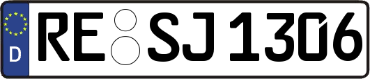 RE-SJ1306