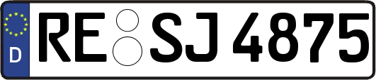 RE-SJ4875