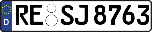 RE-SJ8763