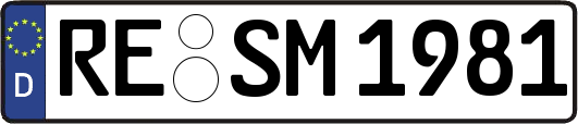 RE-SM1981