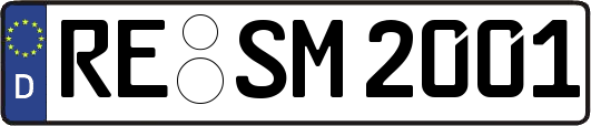 RE-SM2001
