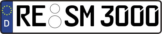 RE-SM3000