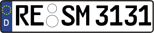 RE-SM3131