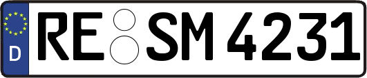 RE-SM4231