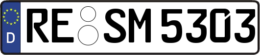 RE-SM5303