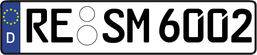 RE-SM6002
