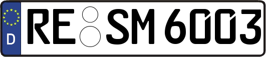 RE-SM6003