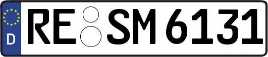 RE-SM6131
