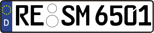 RE-SM6501