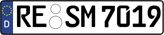 RE-SM7019