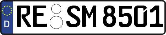 RE-SM8501