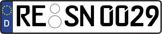 RE-SN0029