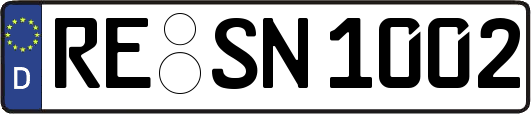 RE-SN1002