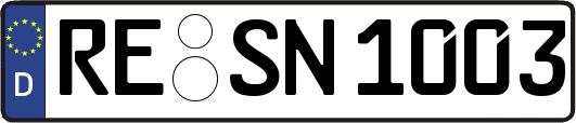 RE-SN1003