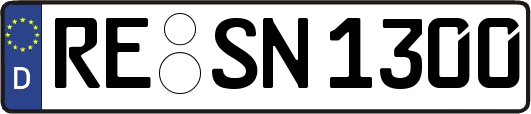 RE-SN1300