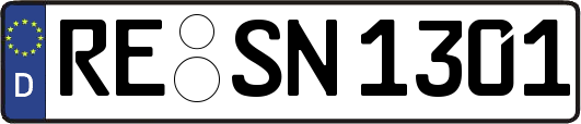 RE-SN1301