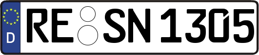 RE-SN1305