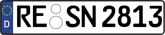 RE-SN2813