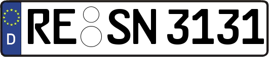 RE-SN3131