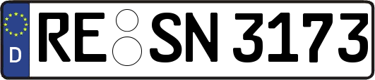 RE-SN3173