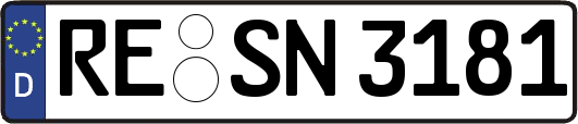 RE-SN3181