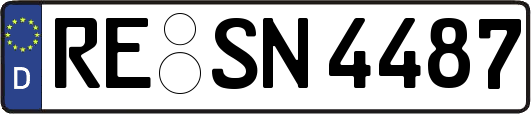RE-SN4487