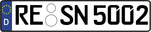 RE-SN5002