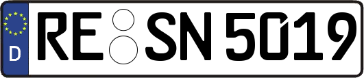 RE-SN5019