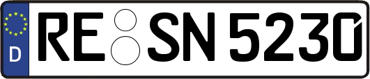 RE-SN5230