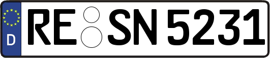 RE-SN5231