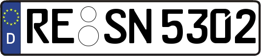 RE-SN5302