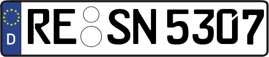 RE-SN5307