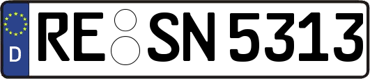 RE-SN5313