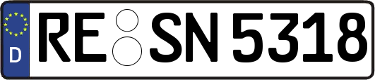 RE-SN5318