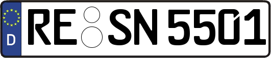 RE-SN5501