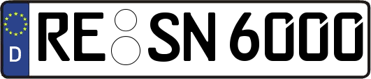RE-SN6000