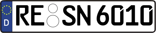 RE-SN6010