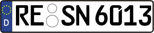 RE-SN6013